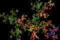 fractal_colour_fern
